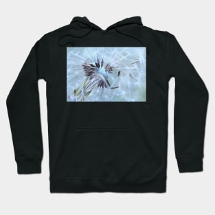 wispy chaos Hoodie